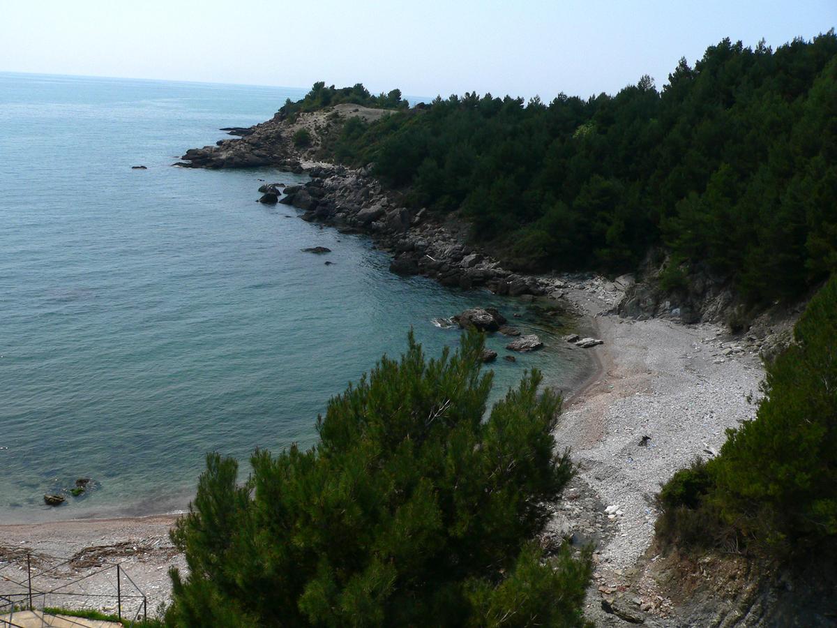Apartment Scepanovic Sutomore